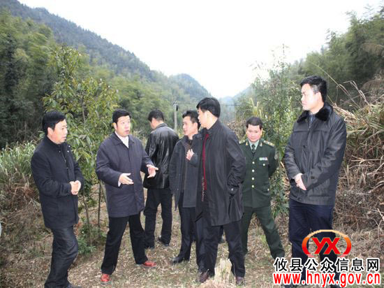 邝邹飞一行深入黄丰桥国有林场视察森林防火工作