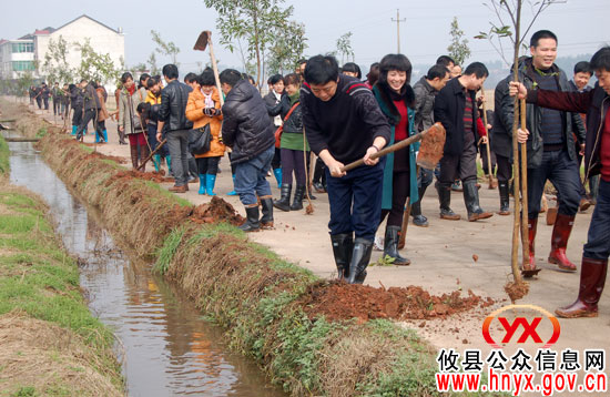 攸县文体广新局组织工作人员到鹏江村植树1200余棵