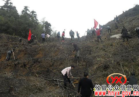 攸县鸾山镇政府机关全体干部带头上山植树造林