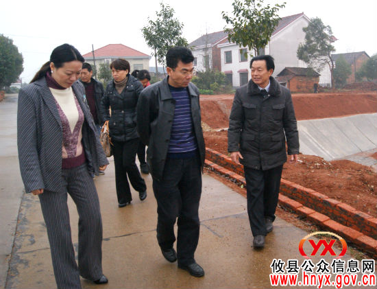 王卓文一行到新市镇新联村指导“结对共建”工作