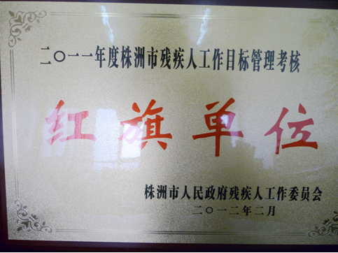 芦淞区残联喜获全市残疾人工作目标管理考核红旗单位殊号