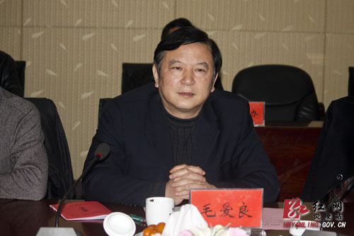 国土资源部土地利用司司长廖永林一行来炎考察