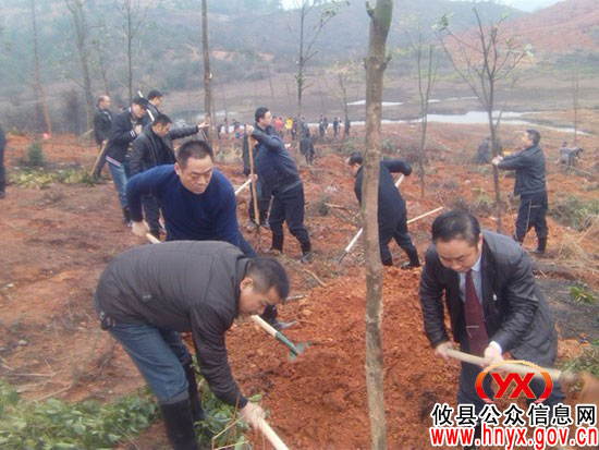植树节：攸县交运局积极组织干部参加义务植树活动