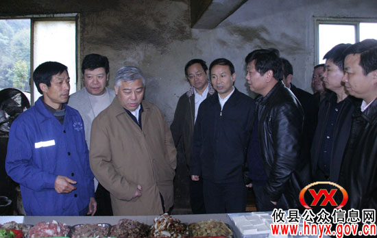 副省长盛茂林冒雨深入攸县矿区视察安全生产工作