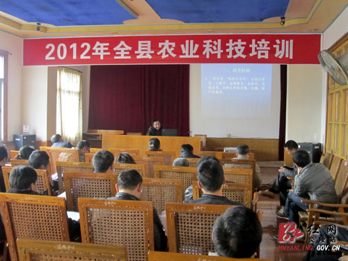强化科技服务 全力推进水稻高产示范片创建