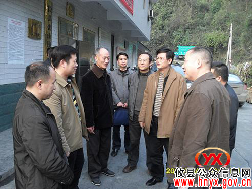 省非公经济组织党工委办刘建平到攸县鸾山镇检查指导工作