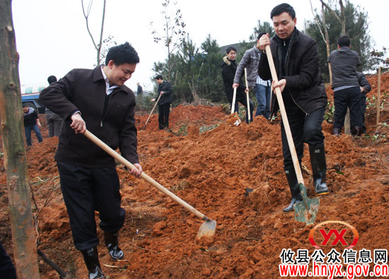 植树节，攸县党政军群机关人员在东城新区植树2.2万株