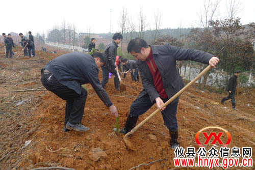 植树节，吴爱清率“结对共建”队员到网岭镇参加义务植树活动