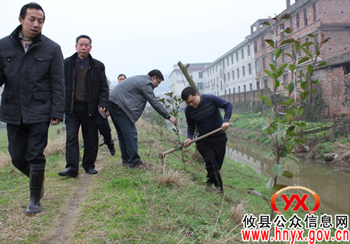 【结对共建】攸县驻槚山乡办点单位工作人员到点上开展植树活动