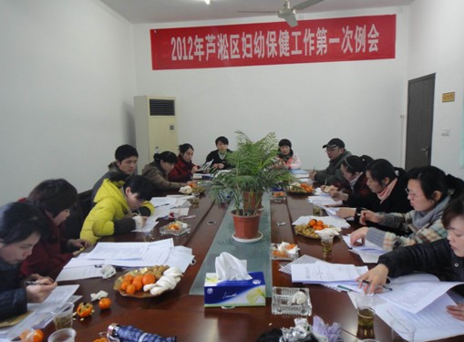 芦淞区召开妇幼保健工作例会