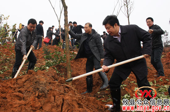 植树节，攸县党政军群机关人员在东城新区植树2.2万株