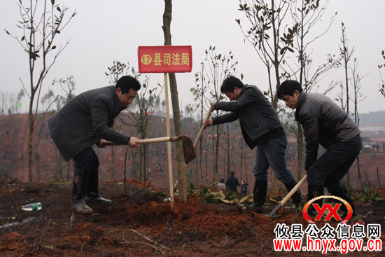 植树节：攸县司法局积极助力绿化东城新区