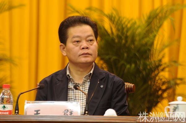 王群:株洲城市面貌改天换地,了不起!