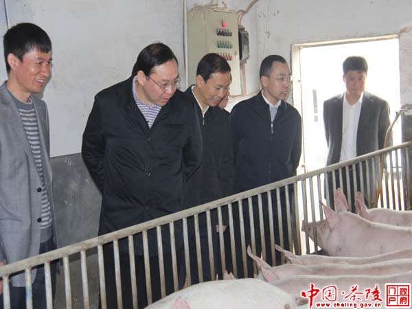 省委副书记梅克保在茶陵视察工作