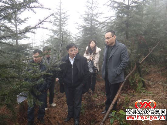 中南林科大副校长谭益民一行深入黄丰桥国有林场进行技术指导