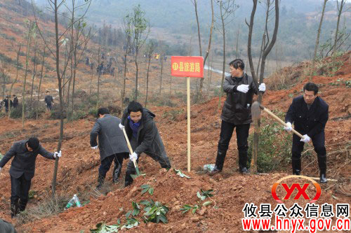 植树节:攸县旅游局组织工作人员参加东城新区植树活动