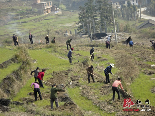 船形乡大丰垅绿色有机茶叶示范园项目开工建设破土动工