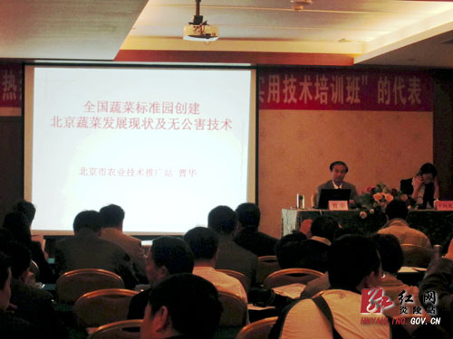 炎陵菜农培训转观念 深圳学习建＂菜园＂