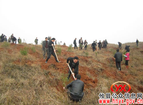 植树节：攸县皇图岭镇组织政府机关干部开展义务植树活动