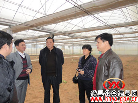 贺新国、陈运发率团赴岳阳市屈原区考察水稻机械化育插秧工作