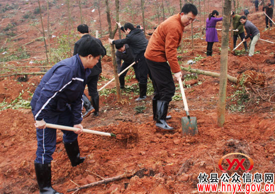 植树节，攸县党政军群机关人员在东城新区植树2.2万株