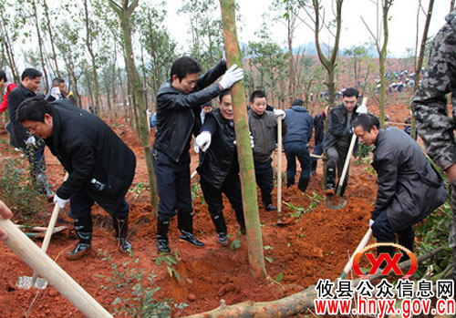 植树节：攸县地税局义务植树为东城新区添绿色