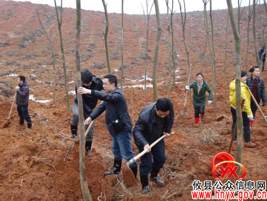植树节：攸县畜牧水产局积极参加植树活动