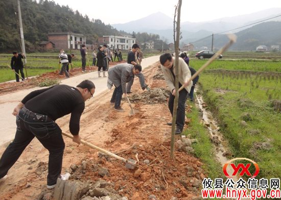 【结对共建】攸县县委组织部与酒埠江镇白石冲村开展植树活动