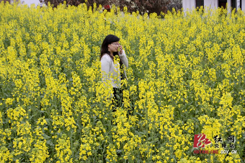 阳春三月，炎陵邀您踏青赏花