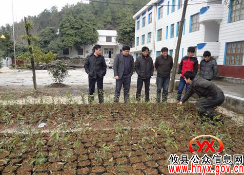 省林业专家深入攸县黄丰桥国有林场指导专项项目试验