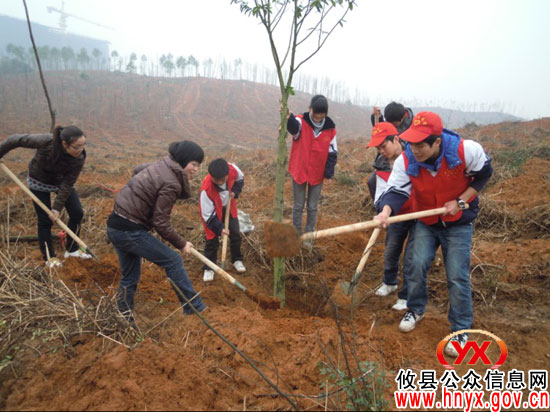 植树节：共青团攸县县委组织青年团员开展义务植树活动