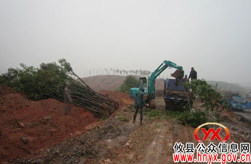 攸县市政园林管理处积极为植树节作准备