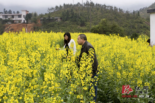 阳春三月，炎陵邀您踏青赏花