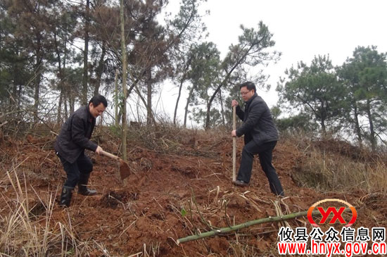 植树节：攸县渌田镇组织机关干部开展义务植树活动