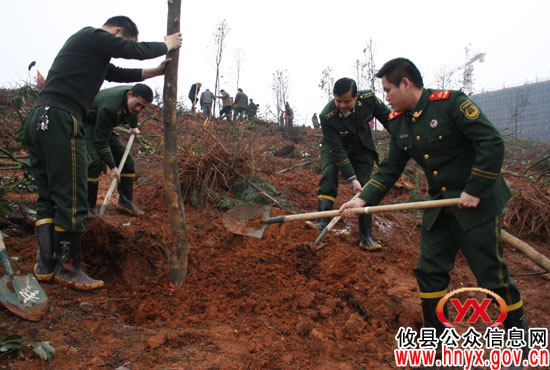 植树节，攸县党政军群机关人员在东城新区植树2.2万株