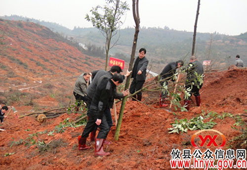 植树节：攸县房产局组织工作人员参加义务植树
