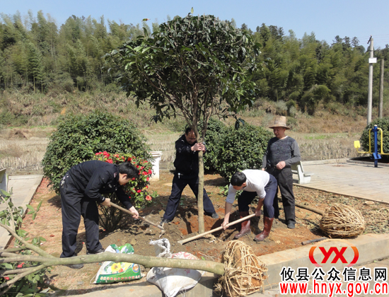 【结对共建】攸县交警大队与黄丰桥镇满江村一同开展植树活动