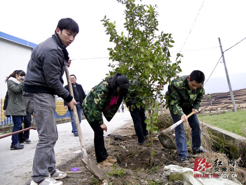 十都镇植树节里植树忙