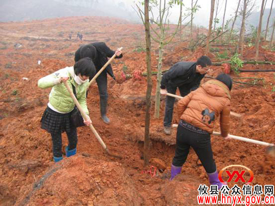 攸县国土资源局团员青年积极为东城新区再添新绿