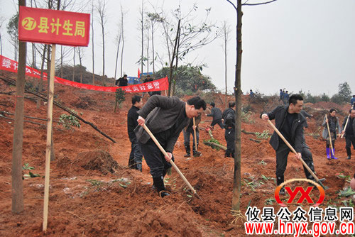 攸县人口计生局开展义务植树活动