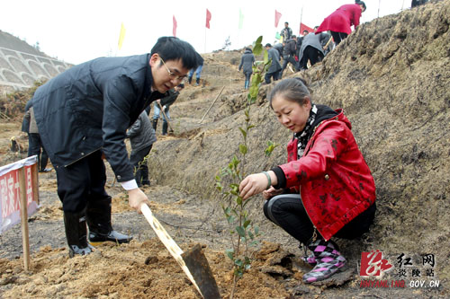 炎陵县开展义务植树大会战 两万株新苗为家园添新绿