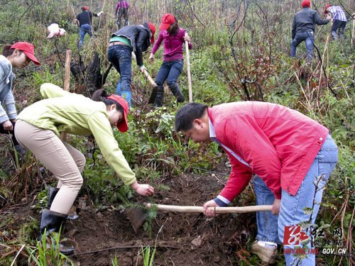 【学雷锋 见行动】弘扬雷锋精神 绿化美丽炎陵
