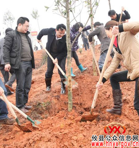 植树节：攸县国土资源局组织工作人员参加义务植树活动
