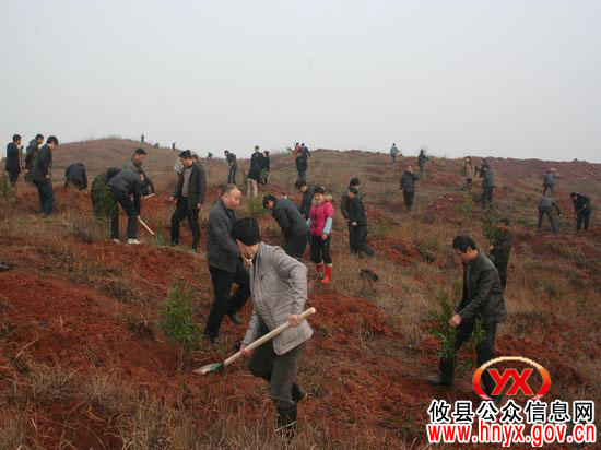 植树节，攸县上万人荷锄挥锹义务植树忙