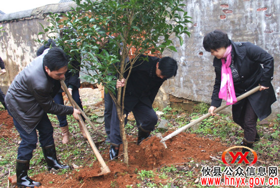 谈湘旭率县教育局机关干部赴柏市乡樟井村义务植树
