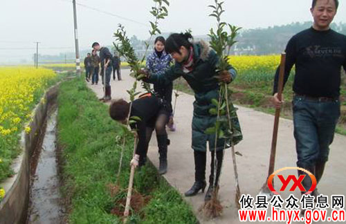 【结对共建】攸县图书馆在皇图岭镇高新村开展植树、送温暖活动