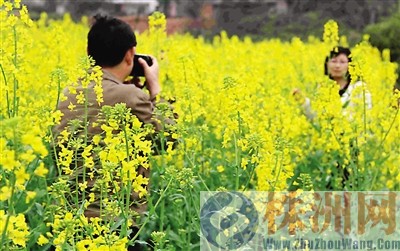 《株洲日报》炎陵新闻版（四）