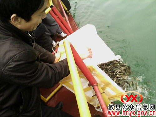 攸县佛教协会证果寺慧禅大师到酒仙湖景区放生