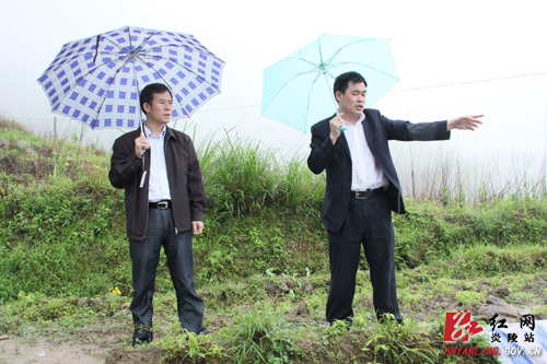 刘正平冒雨视察地质灾害防治工作