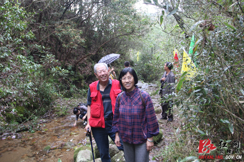 炎陵杜鹃花怒放 天下＂驴友＂慕名来